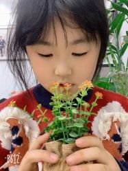 -苏薇摄影·照相馆