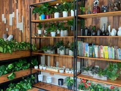 -彼芝奇比萨(红坊店)