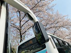 -上海南浦大桥长途旅游客运站
