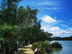 -华侨城湿地公园