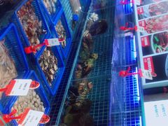 -必点海鲜·鲅鱼水饺(鞍山西道店)