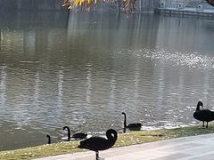 -厦门国家会计学院