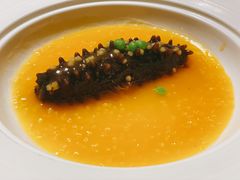 -诺莱仕游艇会