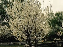 景点-陶然亭公园