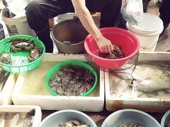 -南沙十九涌渔人码头-南门