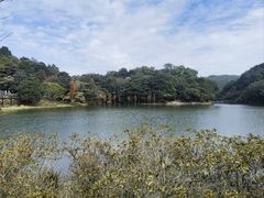 -广州市石门国家森林公园