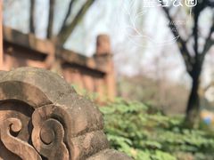 -望江楼公园