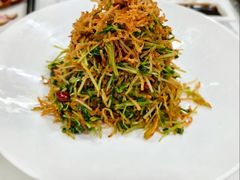巧拌豆苗-四季民福烤鸭店(王府井灯市口店)