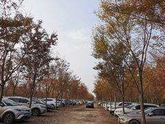 -嘉北郊野公园