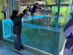 -上海大自然野生昆虫馆(东方明珠·爬宠昆虫探索中心)