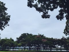 -顺峰山公园