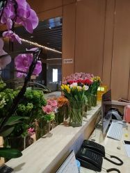 -恒美雅轩·品牌直营连锁