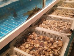 -芝小官毛肚火锅海鲜自助(淮安清江浦区新亚店)