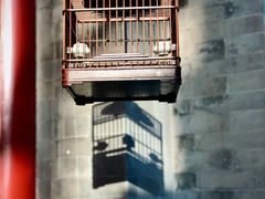 -北京古城老院厉晓麟精致菜