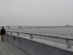 -大湾区中央湿地公园