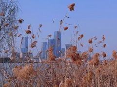 -上海山野camping·户外天幕烧烤·团建拓展营地