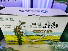 -大通湖