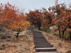 -北京十三陵国家森林公园蟒山景区