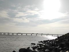 -南汇新城海滩