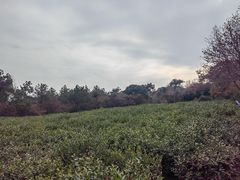 -兴福老面馆(寺路街店)