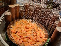 -齐河孔雀王温泉酒店·金孔雀自助百汇
