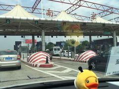 -孙记大碗皮肚面(后宰门店)