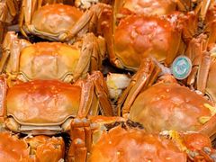 阳澄湖大闸蟹-广州富力君悦大酒店·凯菲厅