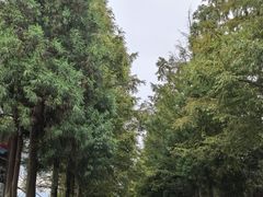 -山王坪喀斯特国家生态公园