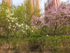 -迎泽公园