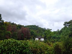 -深圳国际园林花卉博览园