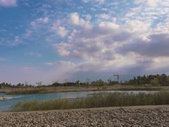 -鹦鹉洲湿地公园