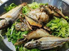 -东江海鲜大排档·潮汕菜·砂锅粥