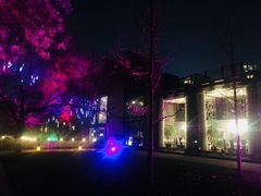 -唐廊烤鸭店(工体店)
