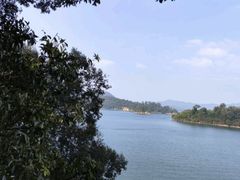 -广州市流溪河国家森林公园