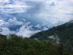 -牛背梁国家森林公园