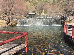 -丽江玉水寨