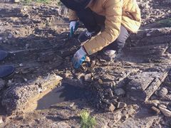 -日照灯塔风景区