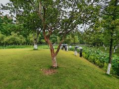 -沐仙湖湿地公园