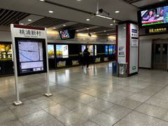 -桃浦新村(地铁站)
