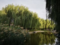 -丰台科技园生态主题公园