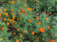 -大连冰峪旅游度假区