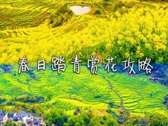 -大鄣山卧龙谷景区