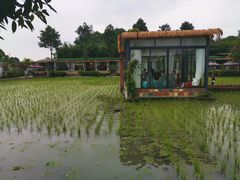 -洪湖家庭农场·团建·露营·会议