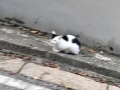 -南京市江宁方山