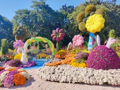 -上海共青森林公园