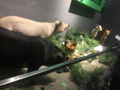 -武汉园博园(武汉自然博物馆)