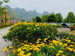 -万峰林风景区