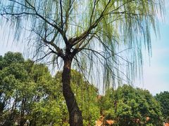 -上海影视乐园