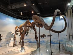 -辽宁古生物博物馆