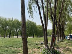 -东坝千亩湖公园